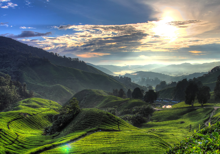 MBP Solutions Malaysia