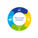 Celebrating Circularity on Global Recycling Day and Day of Zero Waste
