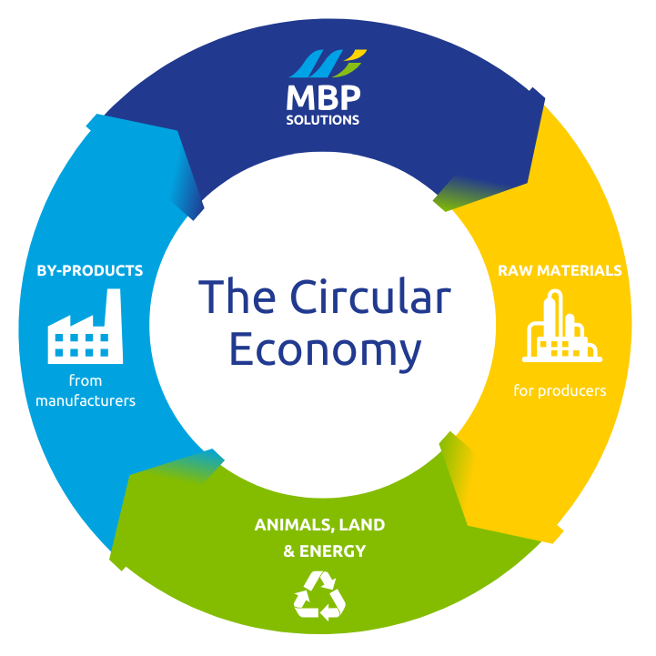circular economy