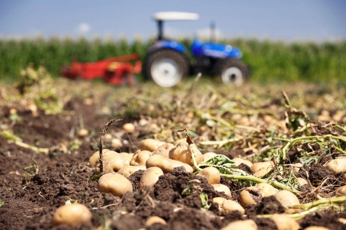 sustainable soil nutrient
