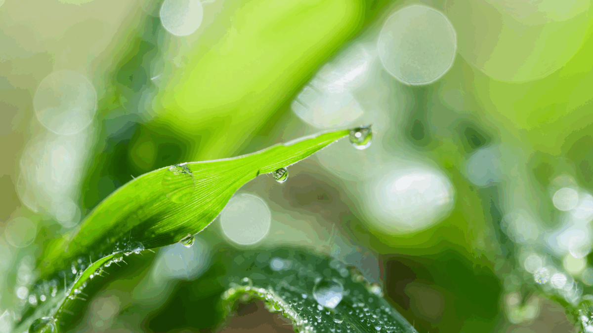Legal Compliance for Sustainable By-product Solutions