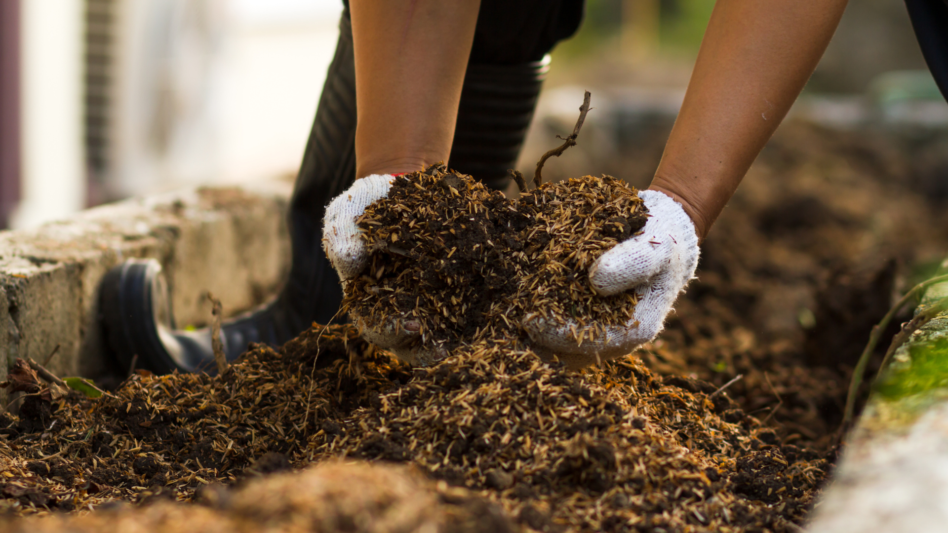 Sustainable Soil Nutrients and Fertiliser Ingredients