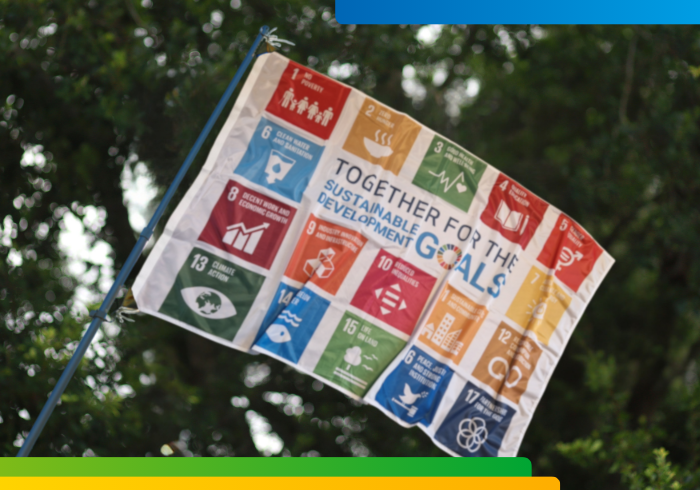 SDG Flag Day